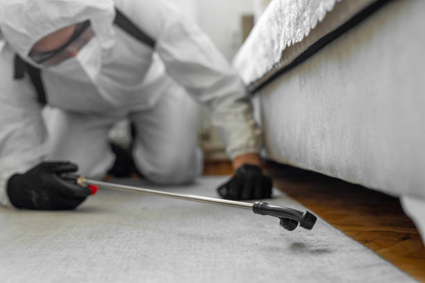 Professional Ant Control technician working in Wesleyville, PA
